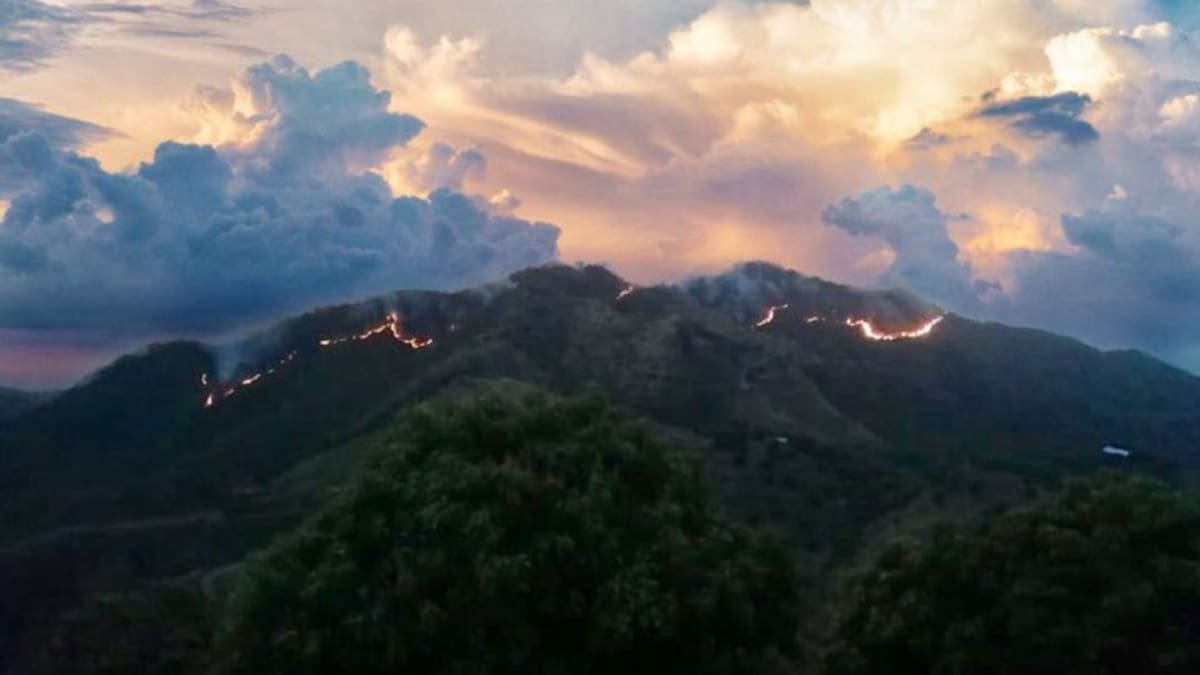 La Sierra Nevada está en cuidados intensivos: Bomberos del Magdalena
