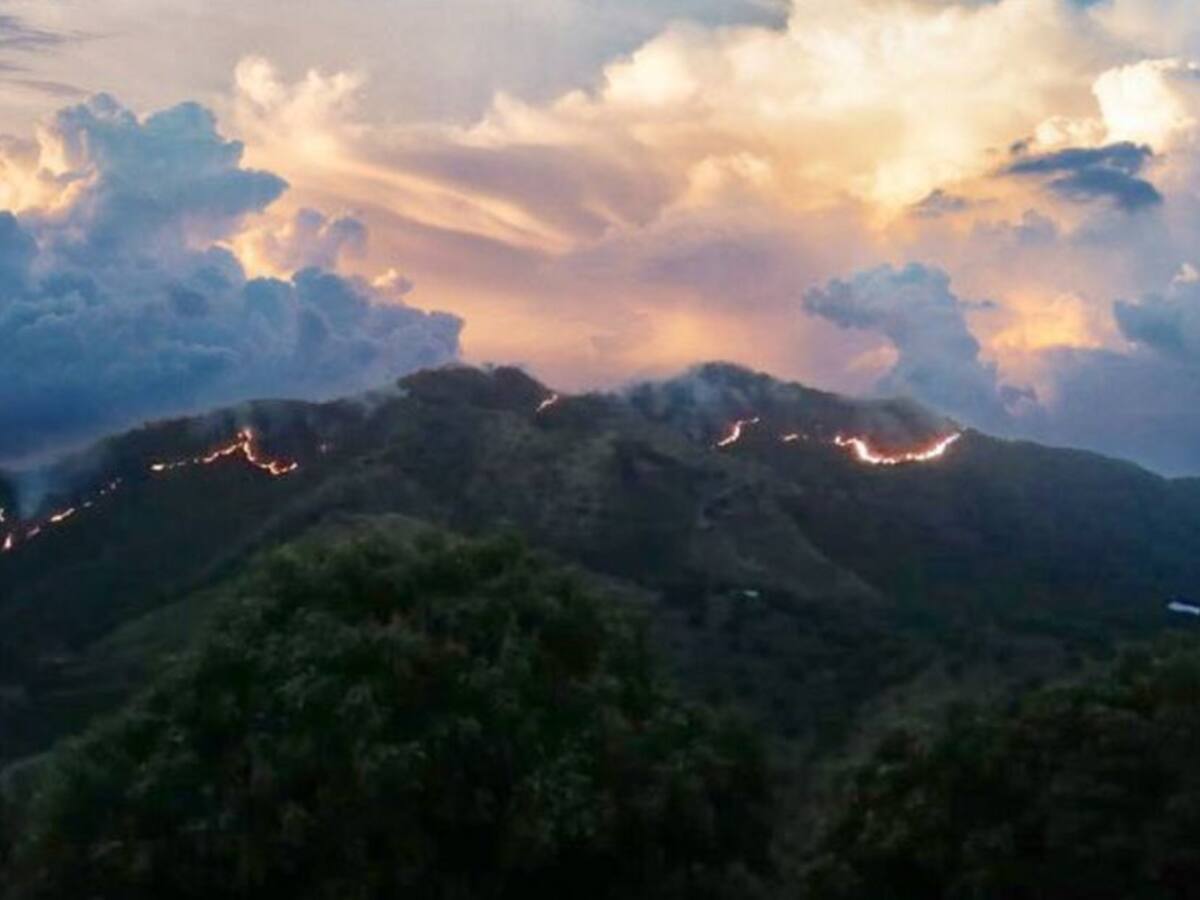 La Sierra Nevada está en cuidados intensivos: Bomberos del Magdalena