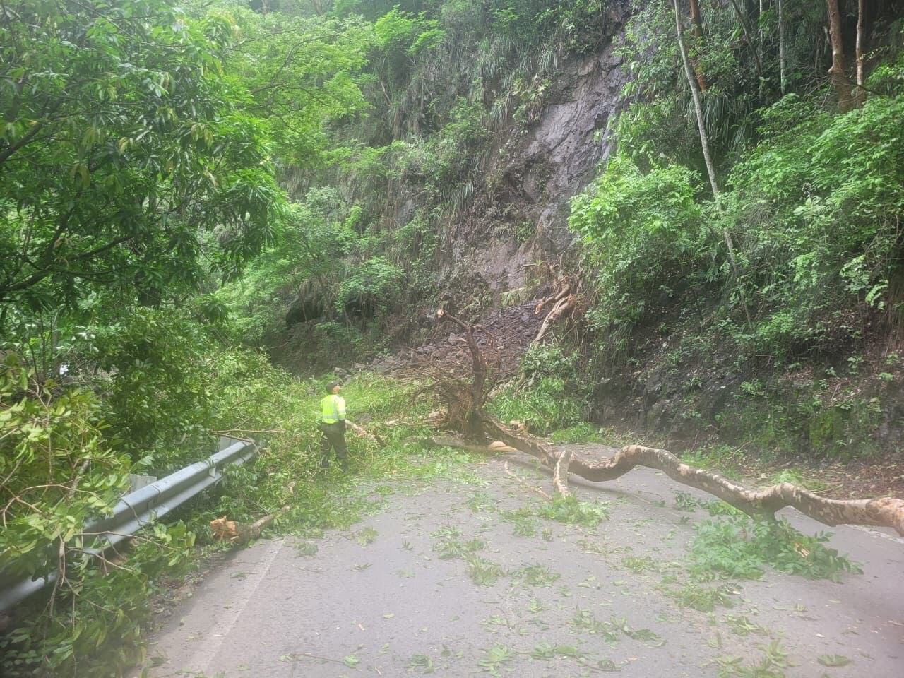 Hay cierre total de la vía La Mansa-Primavera en el kilómetro 58+800 en el sector de La Sinifaná. Foto: Seccional de Tránsito y Transporte de Antioquia.