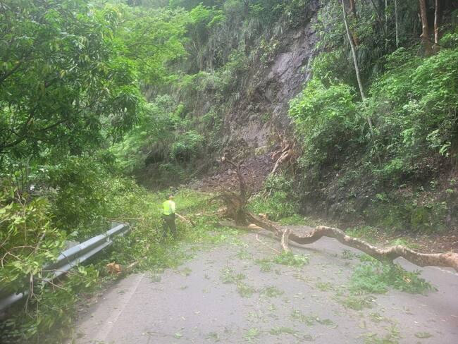 Hay cierre total de la vía La Mansa-Primavera en el kilómetro 58+800 en el sector de La Sinifaná. Foto: Seccional de Tránsito y Transporte de Antioquia.