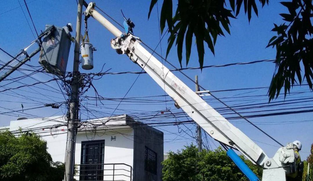 Foto de referencia.