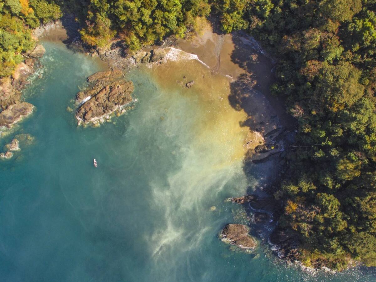 Fotografías con altura: ¿Qué debo saber para capturar imágenes con drones?