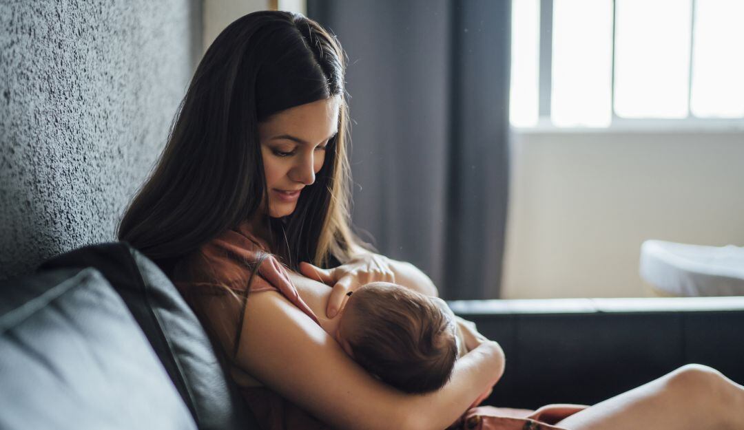 Imagen de referencia