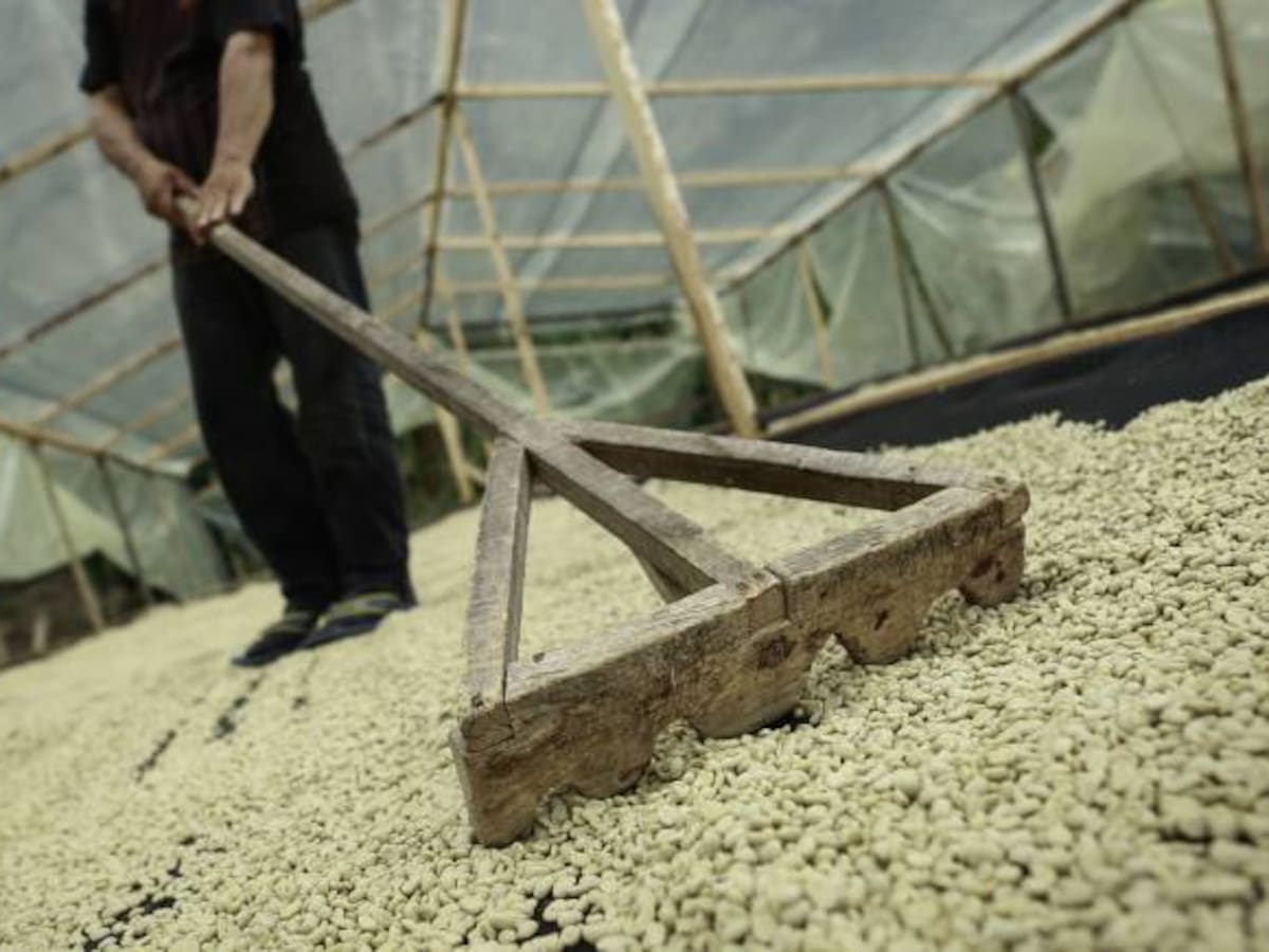 Líder campesino del Valle es asaltado y amenazado en su propia casa