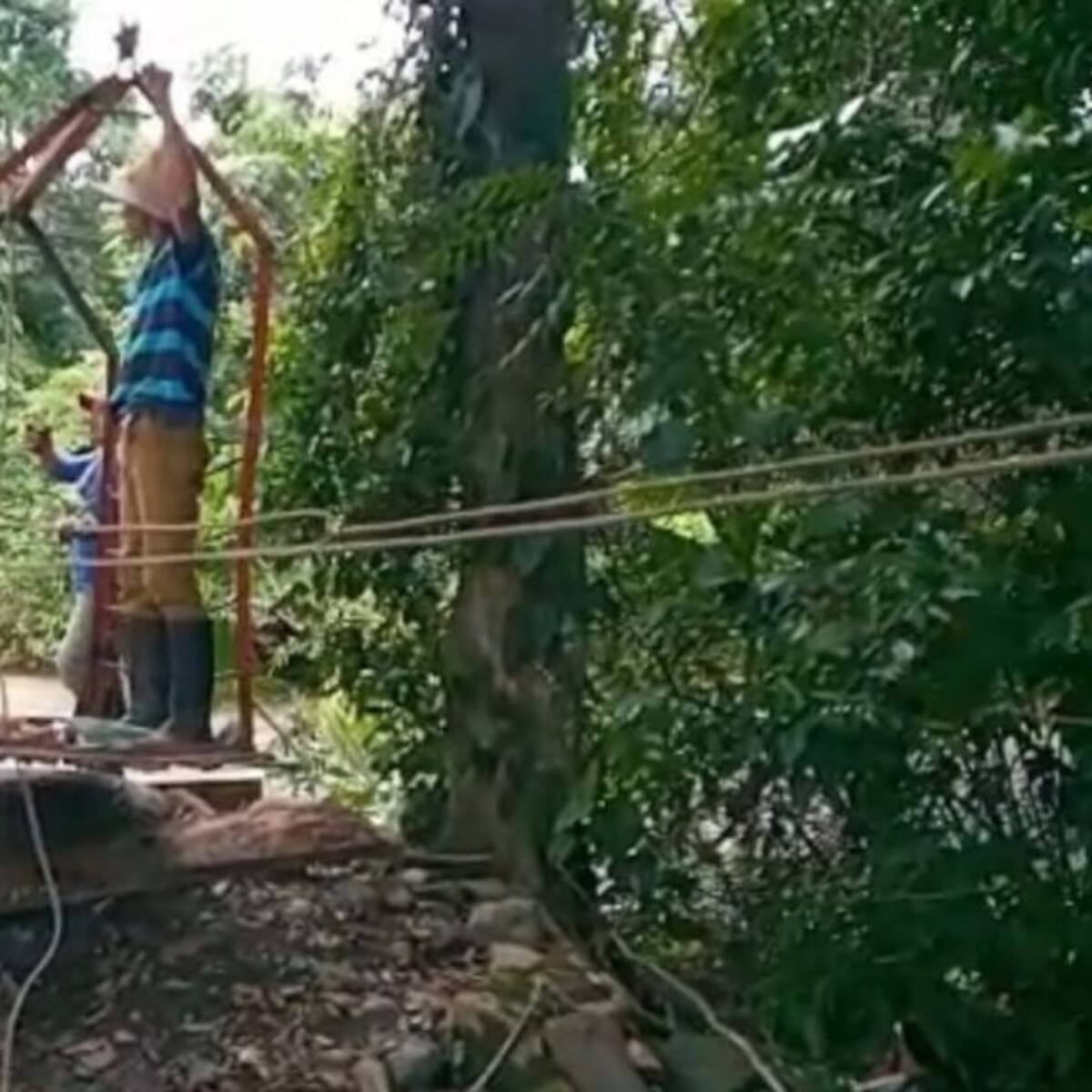 Niños arriesgan sus vidas en canastas para ir a estudiar