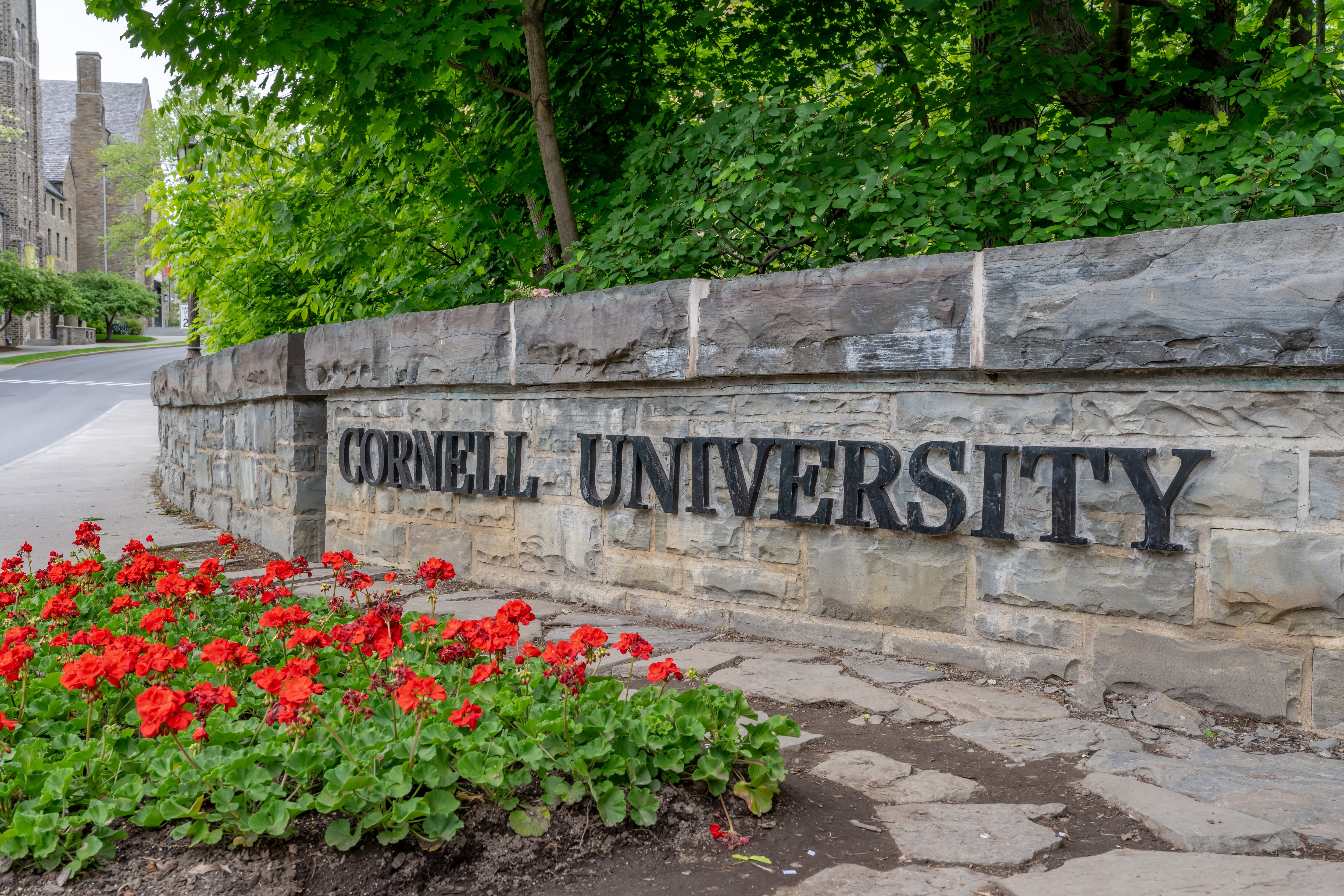 El presidente de la Universidad Cornell no renuncia pese a pérdida de confianza. Imagen de referencia. Getty Images
