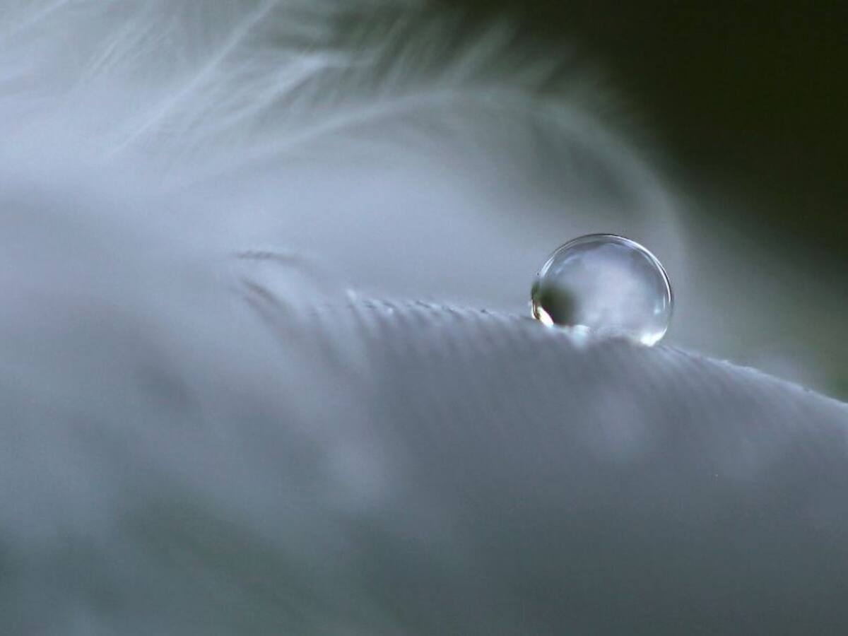 ¿Cómo llevar un duelo en tiempos de covid-19?