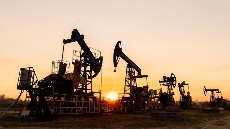 Luz Stella Murgas, presidenta de Natugas y Armando Zamora, exdirector de la ANH