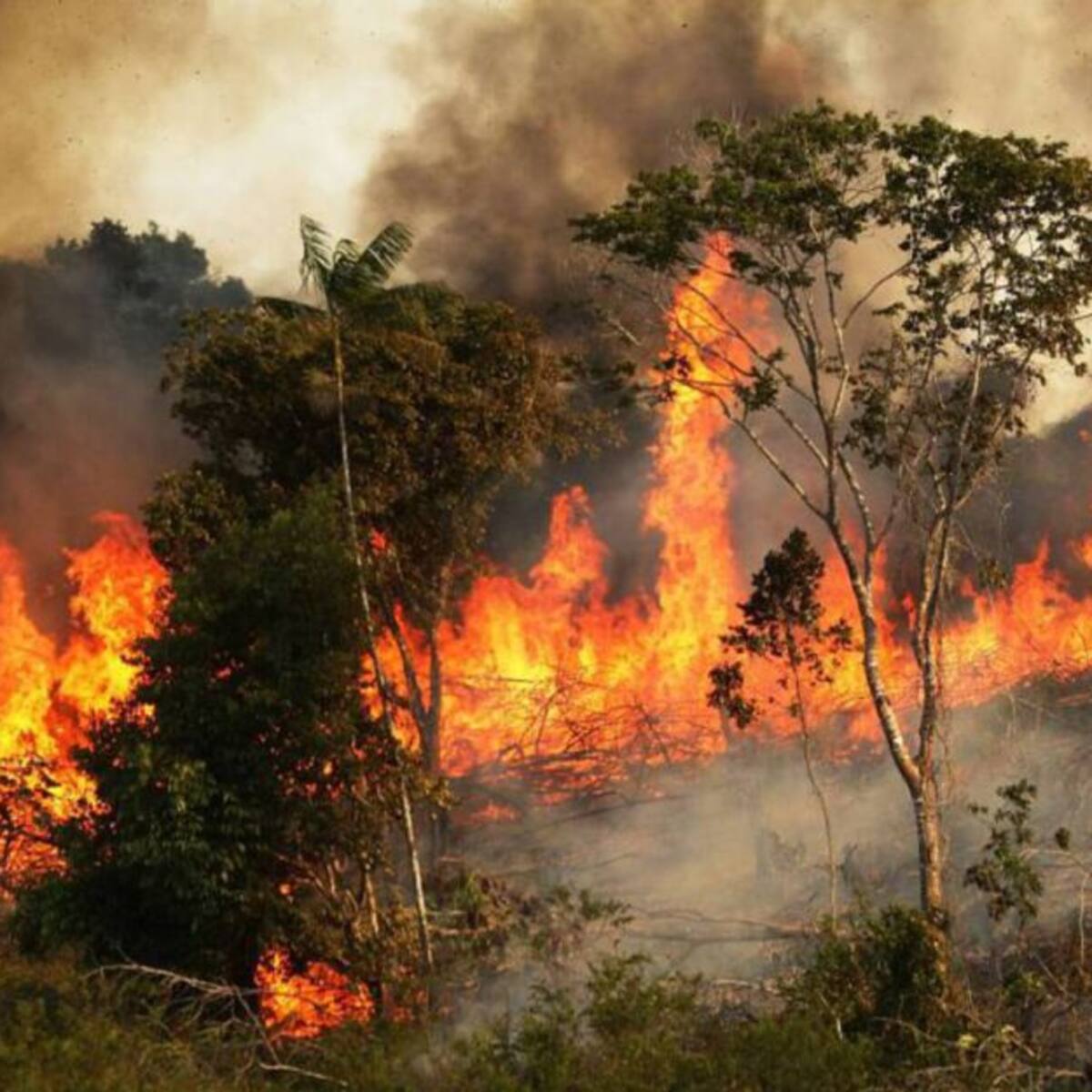Tres incendios en Firavitoba afectaron 70 hectáreas de zona vegetal