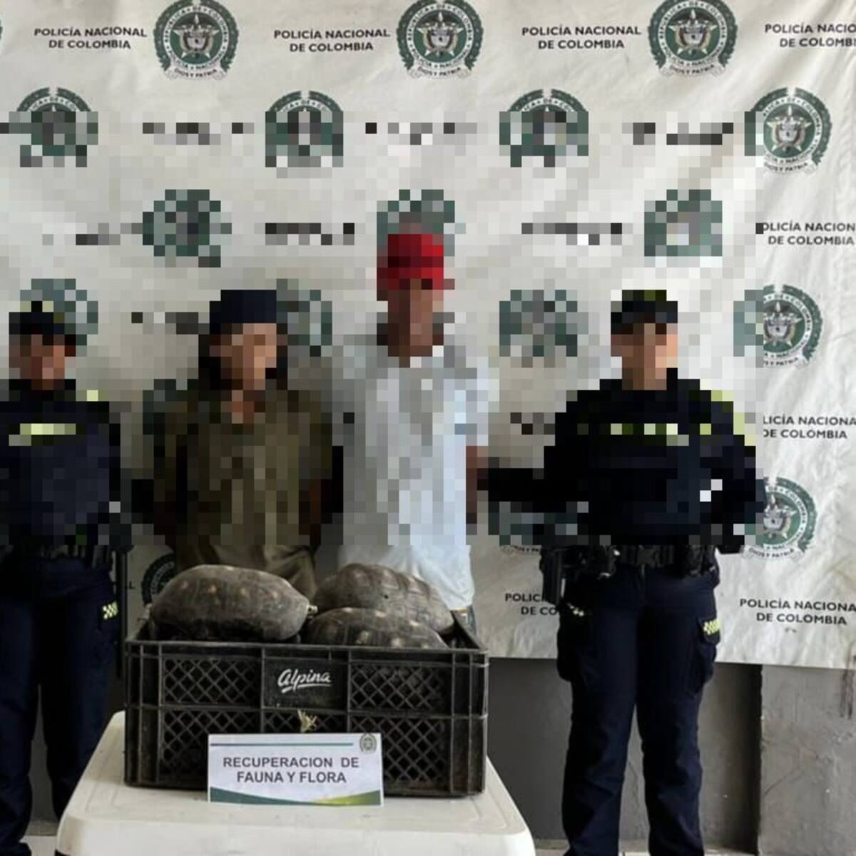 Policía capturó a dos presuntos traficantes de especies silvestres en zona rural de El Carmen