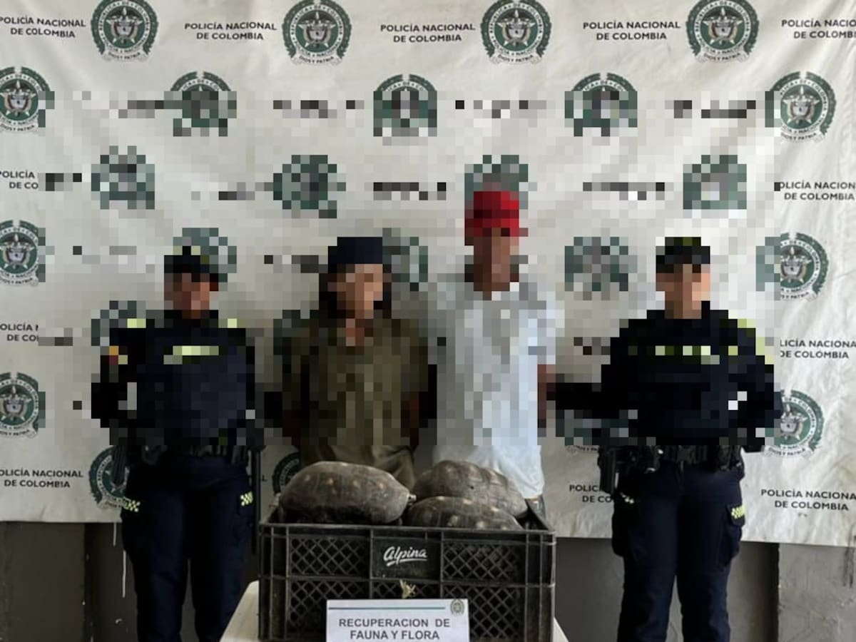 Policía capturó a dos presuntos traficantes de especies silvestres en zona rural de El Carmen