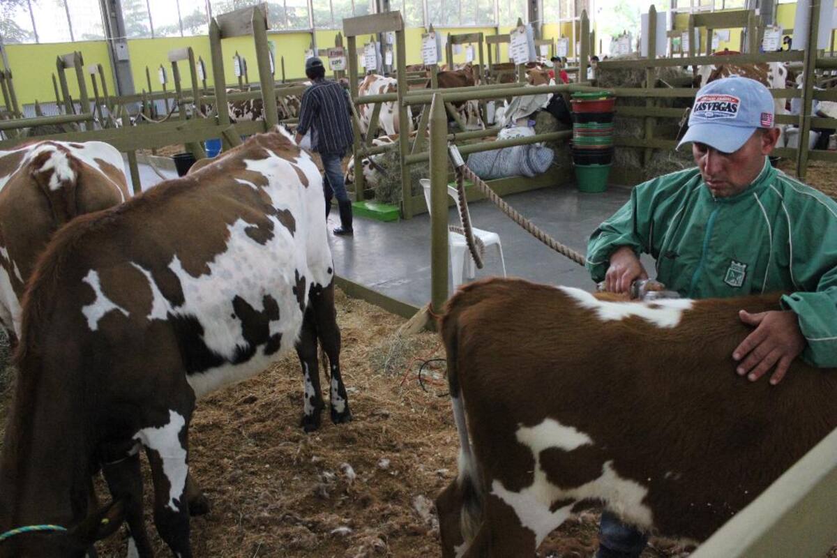 Así va la puesta en marcha de Expocolanta 2014