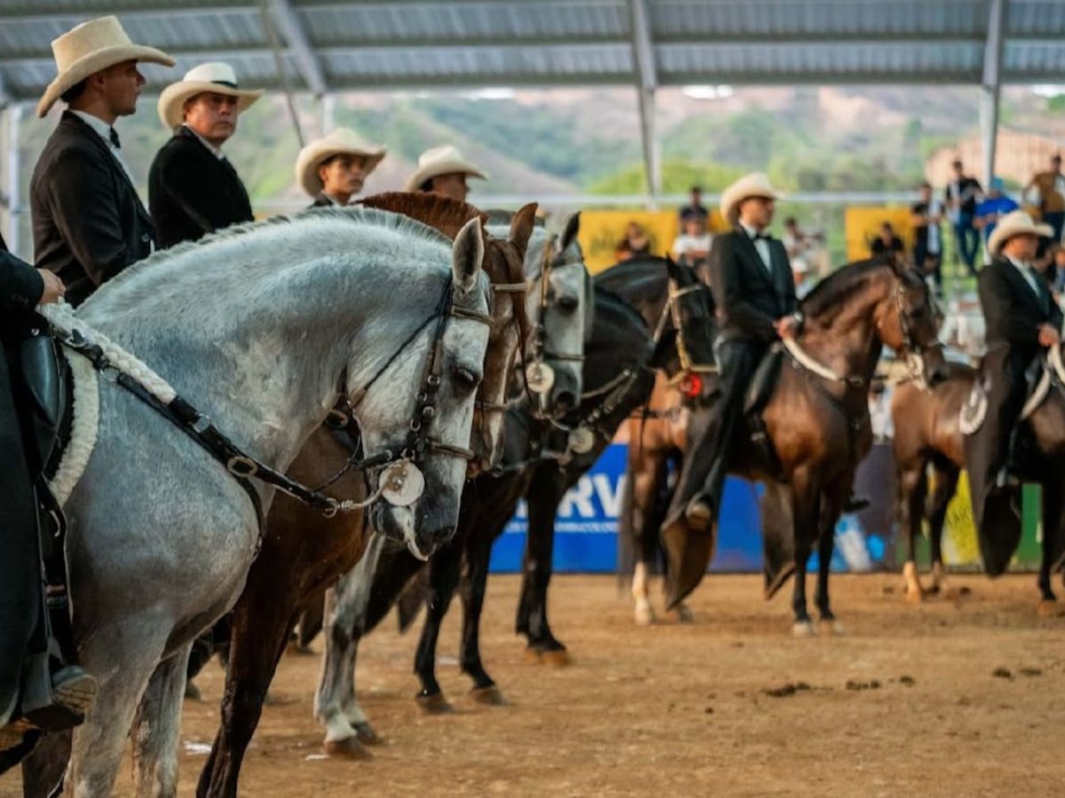 Caballos que mueven billones: industria equina que impulsa economía, empleo y tradición en el país