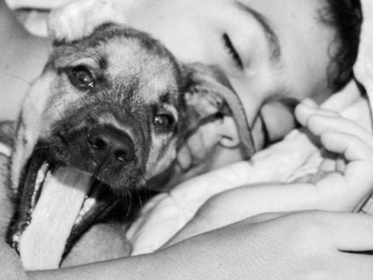 Ventajas y desventajas de dormir con su mascota