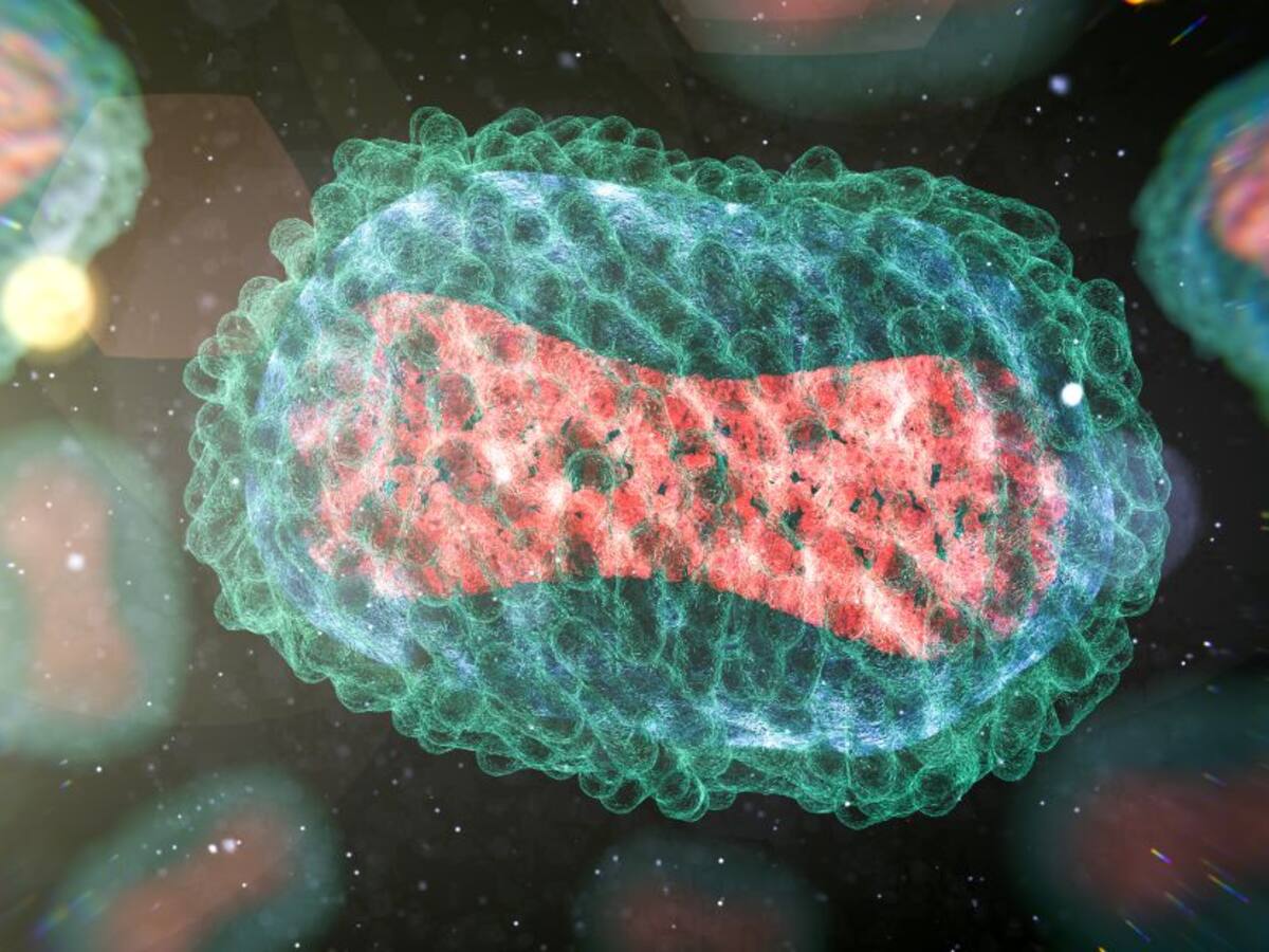 Viruela del mono: Perú registró primer muerte de una persona infectada