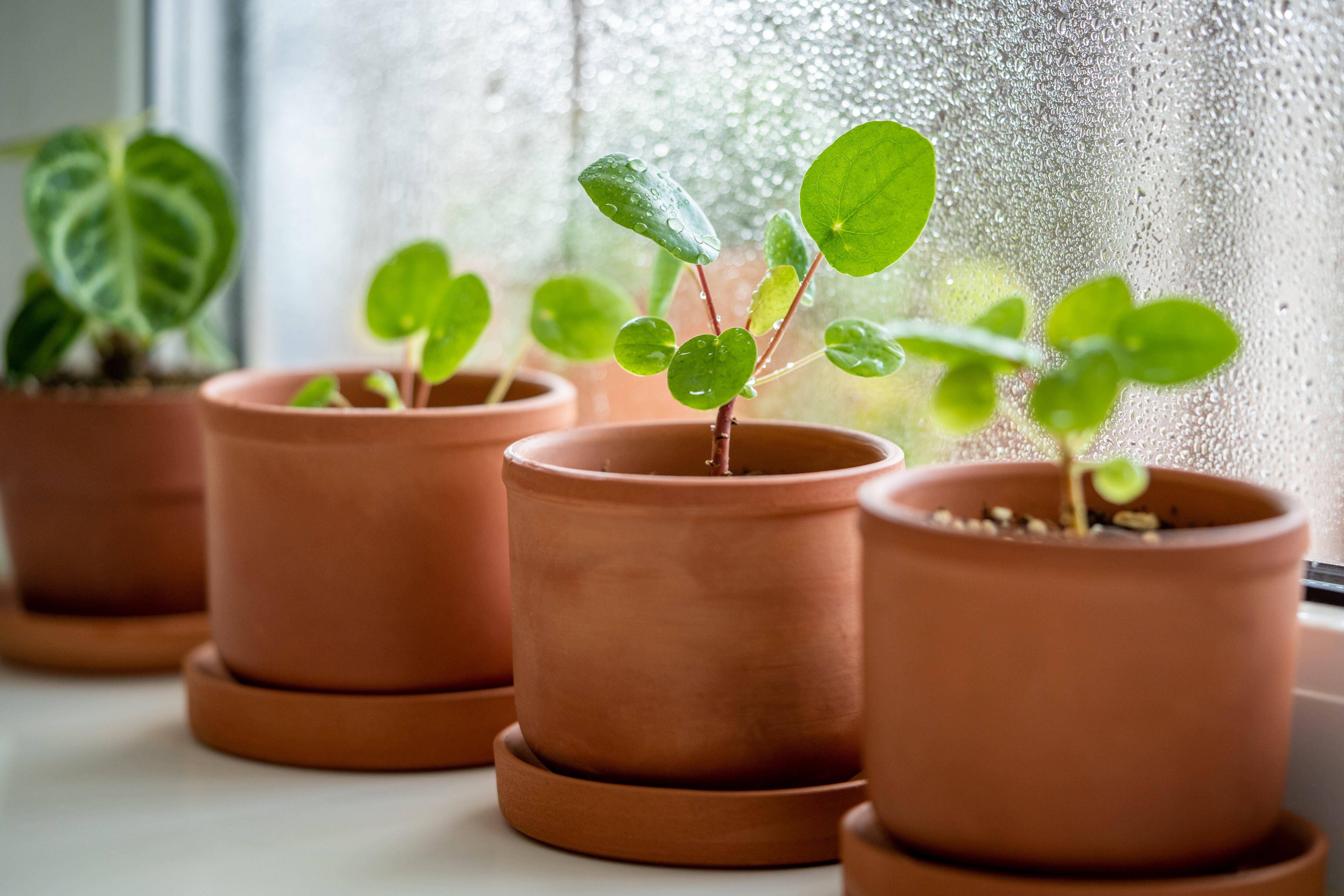 Imagen de referencia vía Getty Images