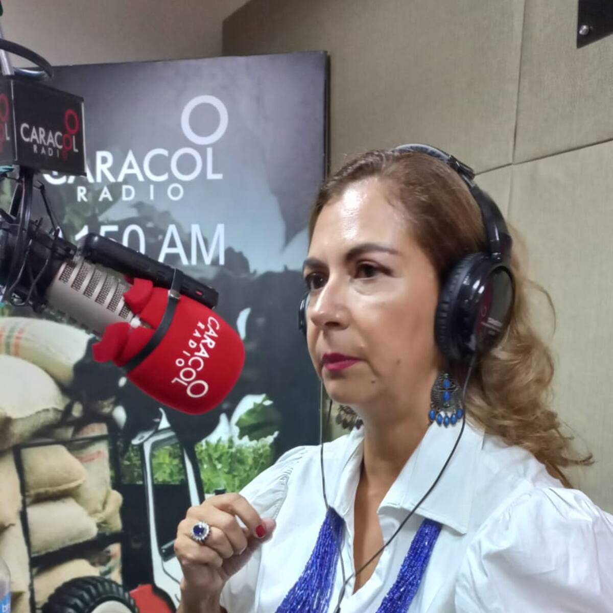 Armenia epicentro del encuentro de empresarios de parques de diversiones y atracciones