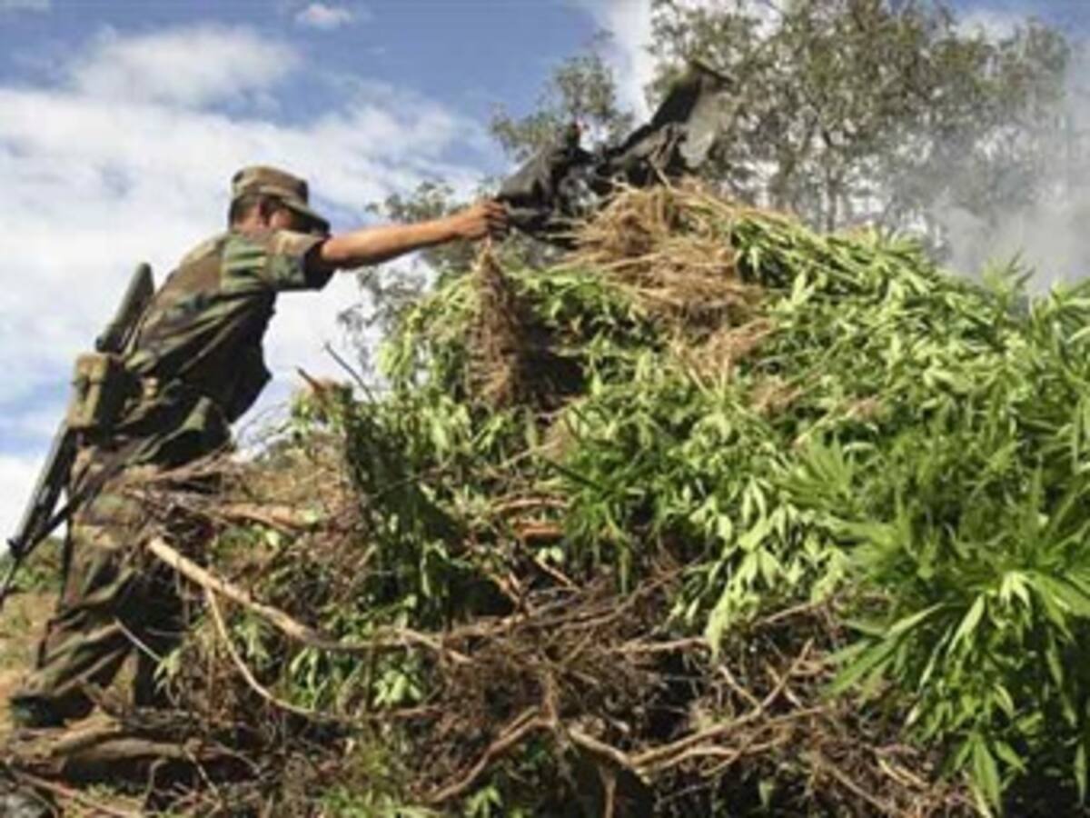 Comisión Global pide a EEUU cambios políticos en la lucha antidrogas