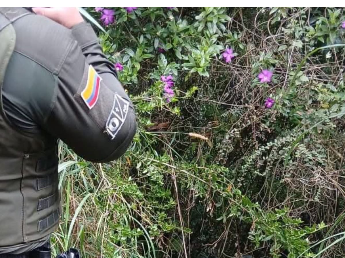 Rechazo en Cauca por el asesinato de una joven mujer en zona rural de Popayán
