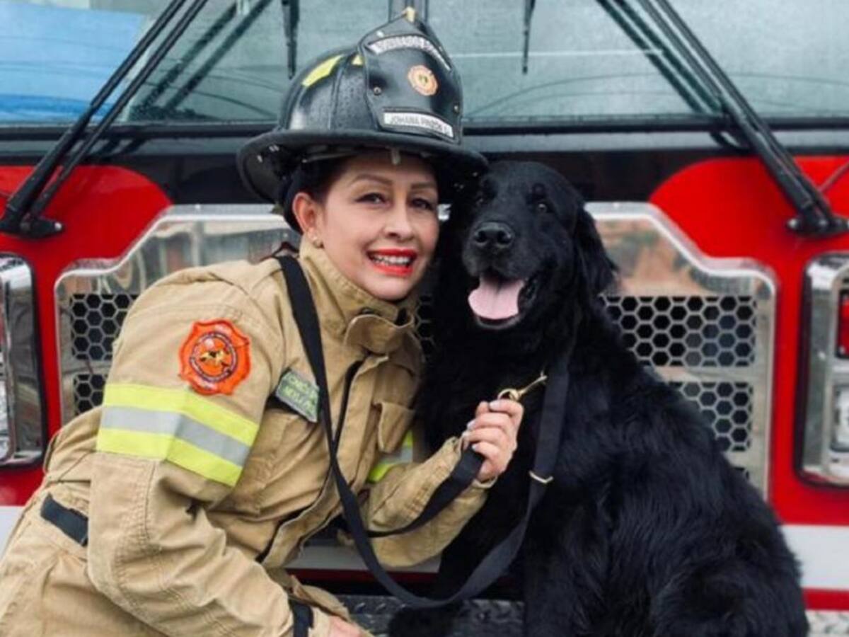 Se jubila Fito, el can más antiguo del cuerpo de Bomberos de Bogotá