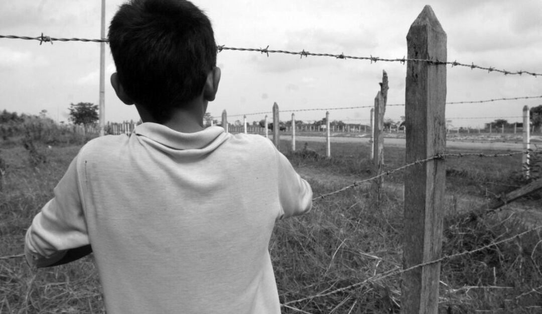 Imagen de referencia