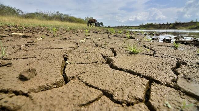 Imagen de referencia. Foto: Colprensa