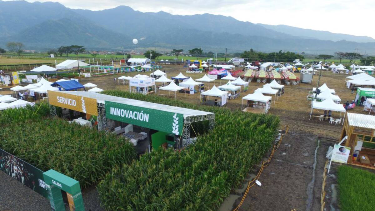 Alístese para Agroshow 2020, la mayor feria agropecuaria a campo abierto
