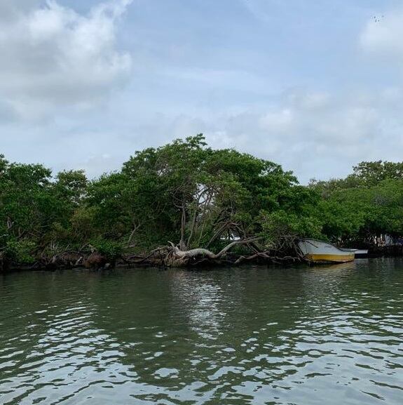 Ciénaga de Mallorquín en Barranquilla./ Foto: Caracol Radio