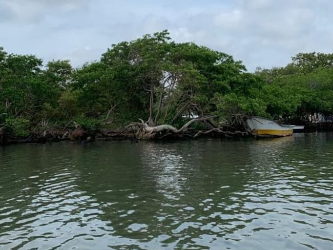 Ciénaga de Mallorquín en Barranquilla./ Foto: Caracol Radio