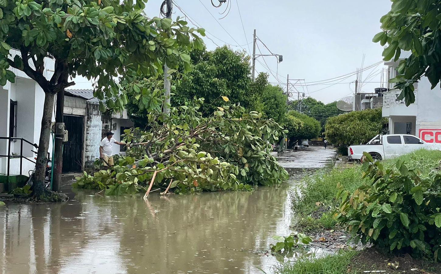 Imagen de referencia