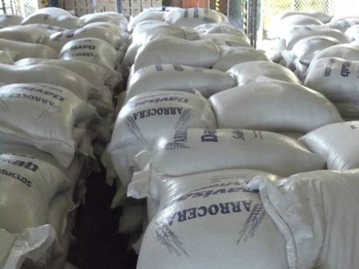 Siembras de arroz en el Tolima siguen disminuidas por falta de recurso hídrico.
