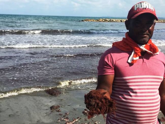 Algas rojas invaden playas de Cartagena