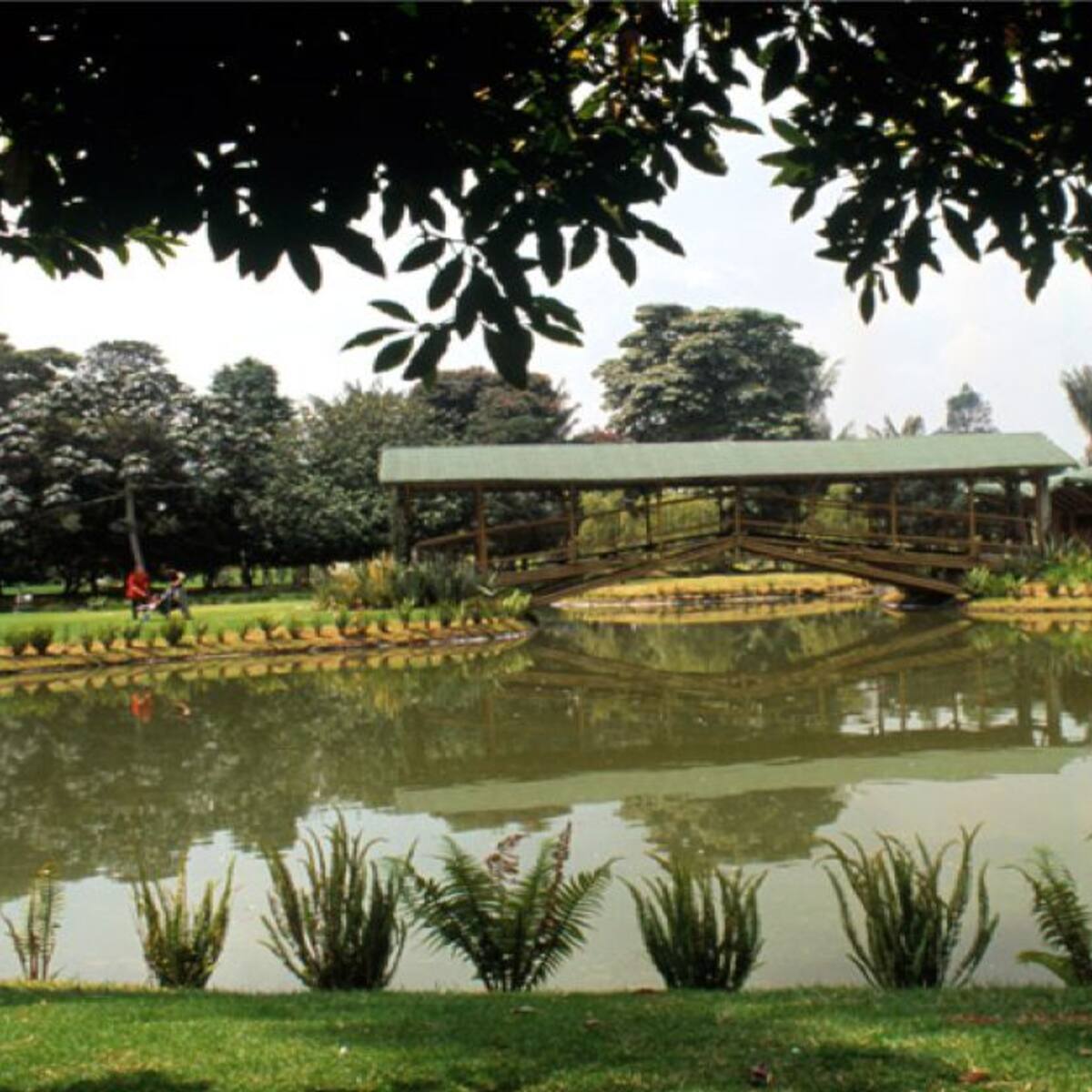 Reconexión con la naturaleza: Agenda del Jardín Botánico de Bogotá en abril
