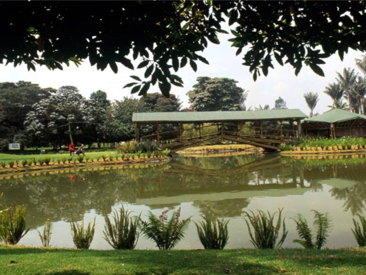 Reconexión con la naturaleza: Agenda del Jardín Botánico de Bogotá en abril