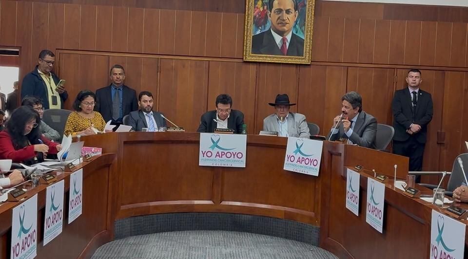 Proyecto de ley 033 de 2026. Redes sociales 