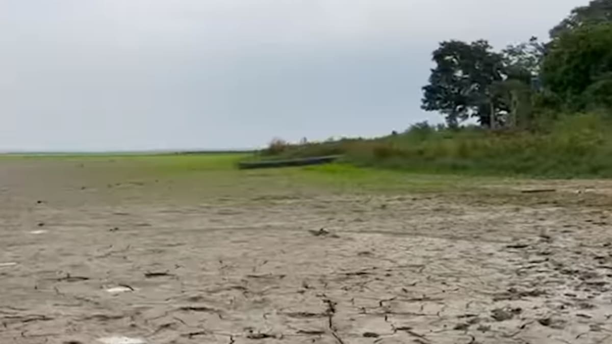 “Se secó la ciénaga El Llanito”: Señalan pescadores
