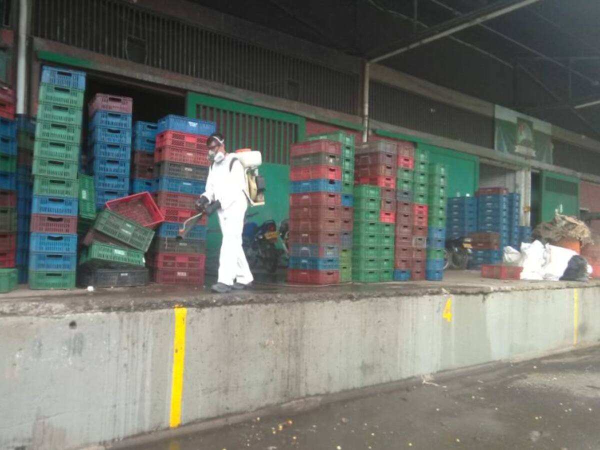 Costos de fletes en el transporte de alimentos en el Valle superan el 70%