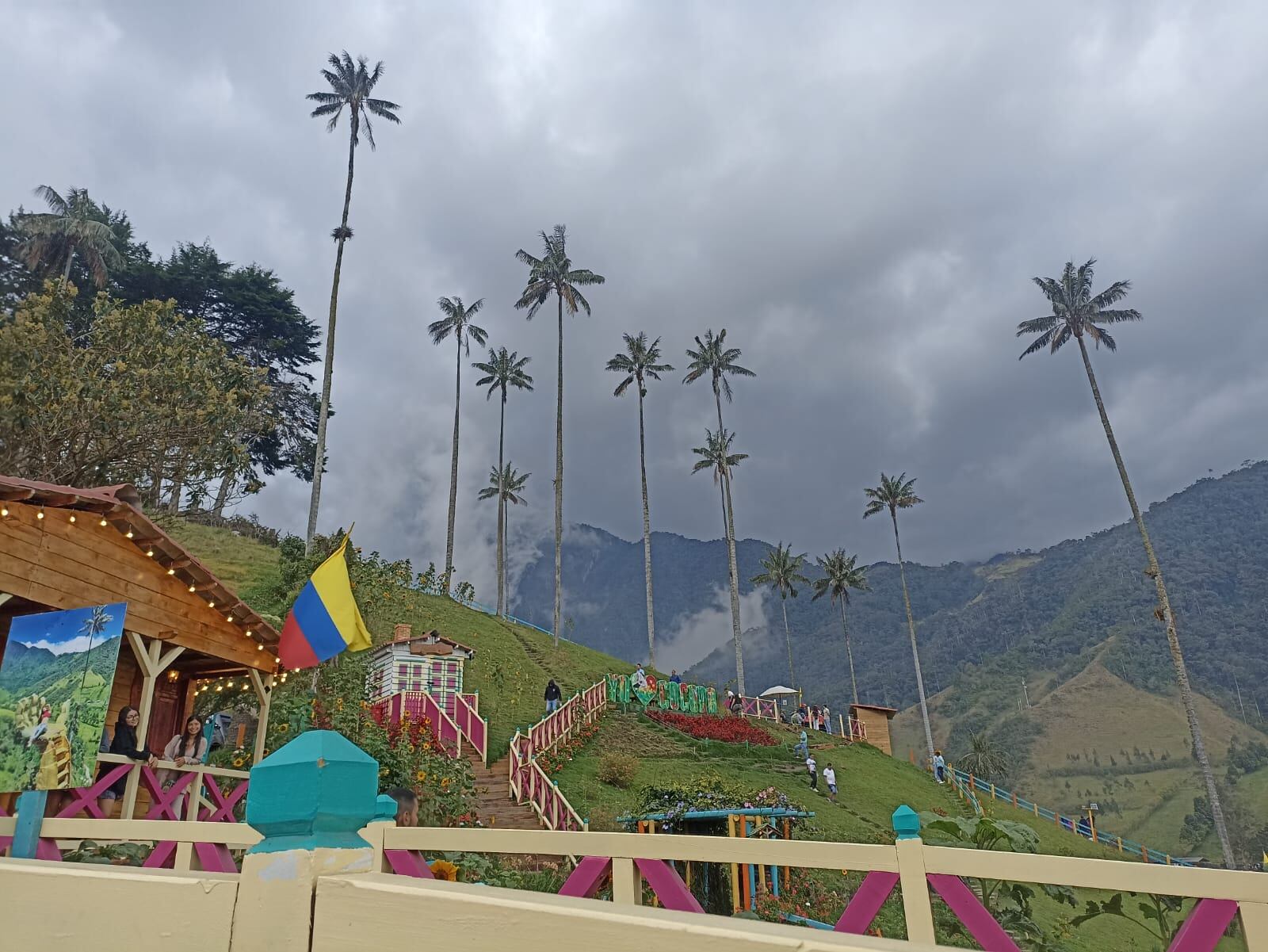 Valle de Cocora en Salento, Quindío. Foto: Adrián Trejos