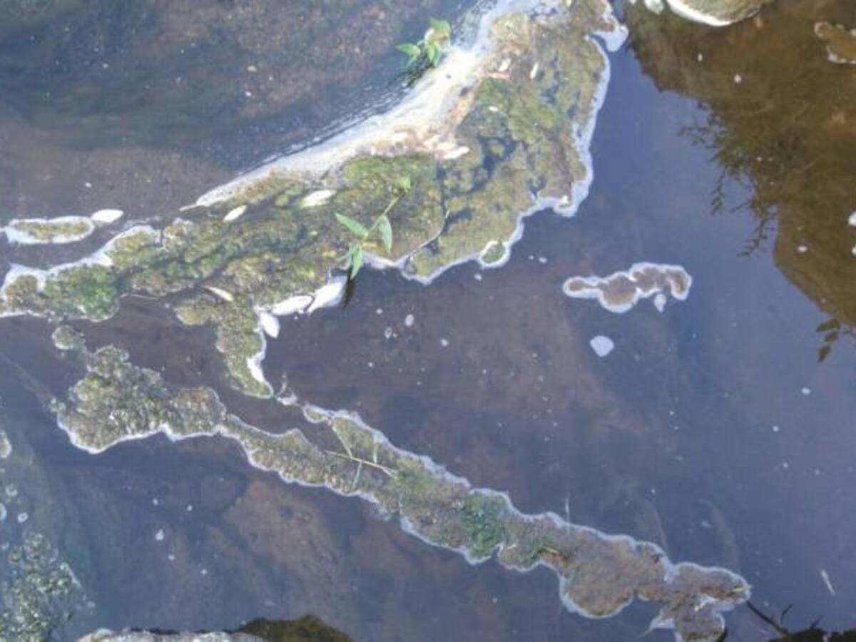 Carder identificó a los responsables de la contaminación de ríos en Santa Rosa