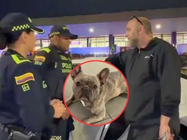 En tiempo récord Policía recupera vehículo que había sido robado con un bulldog francés adentro. Foto: MEBOG.