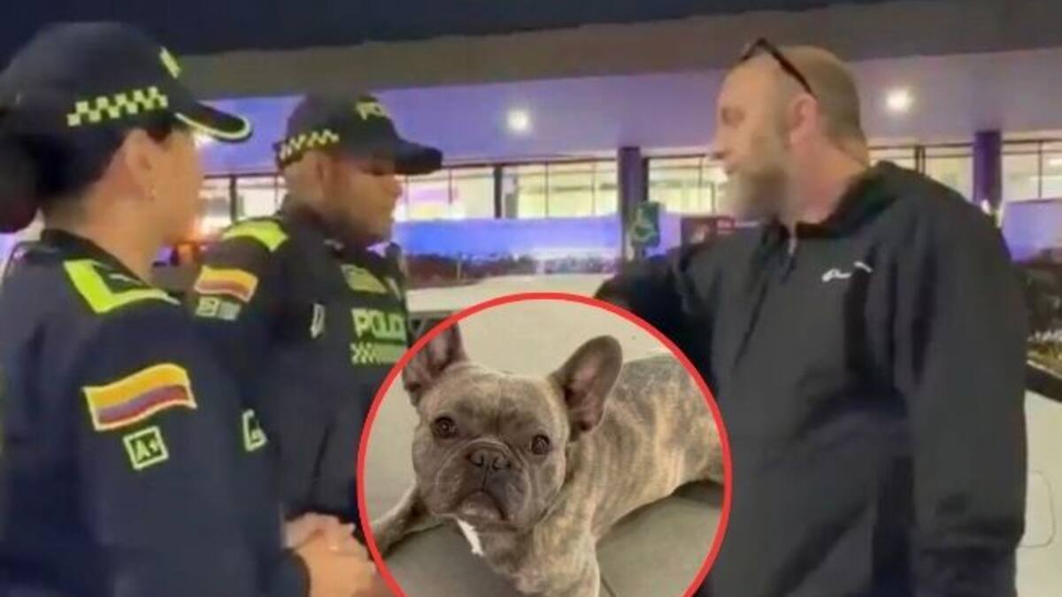 En tiempo récord Policía recupera vehículo que había sido robado con un bulldog francés adentro