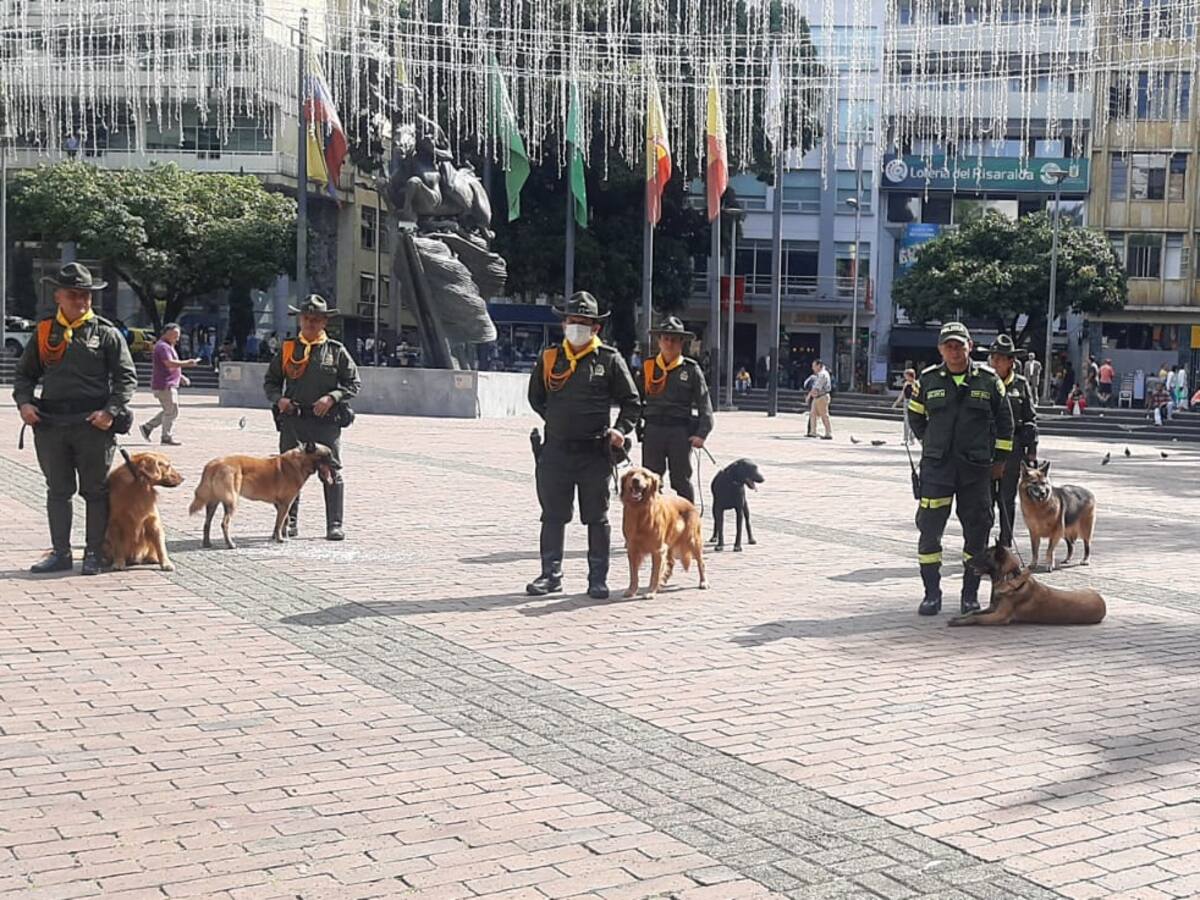 Con un equipo de patrulleros caninos vigilan el comercio de Pereira