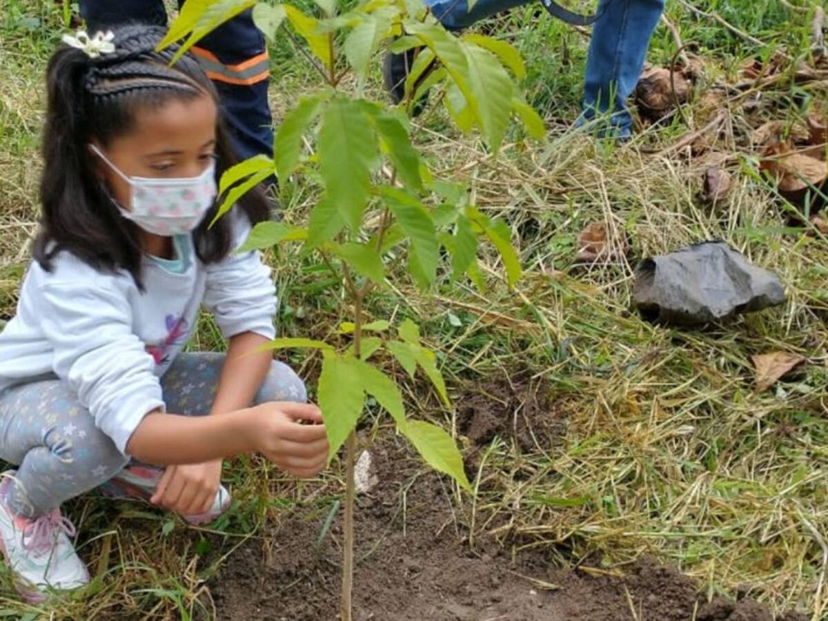 Gremios en el Quindío lanzan estrategia denominada “Bonos Planta Vida”
