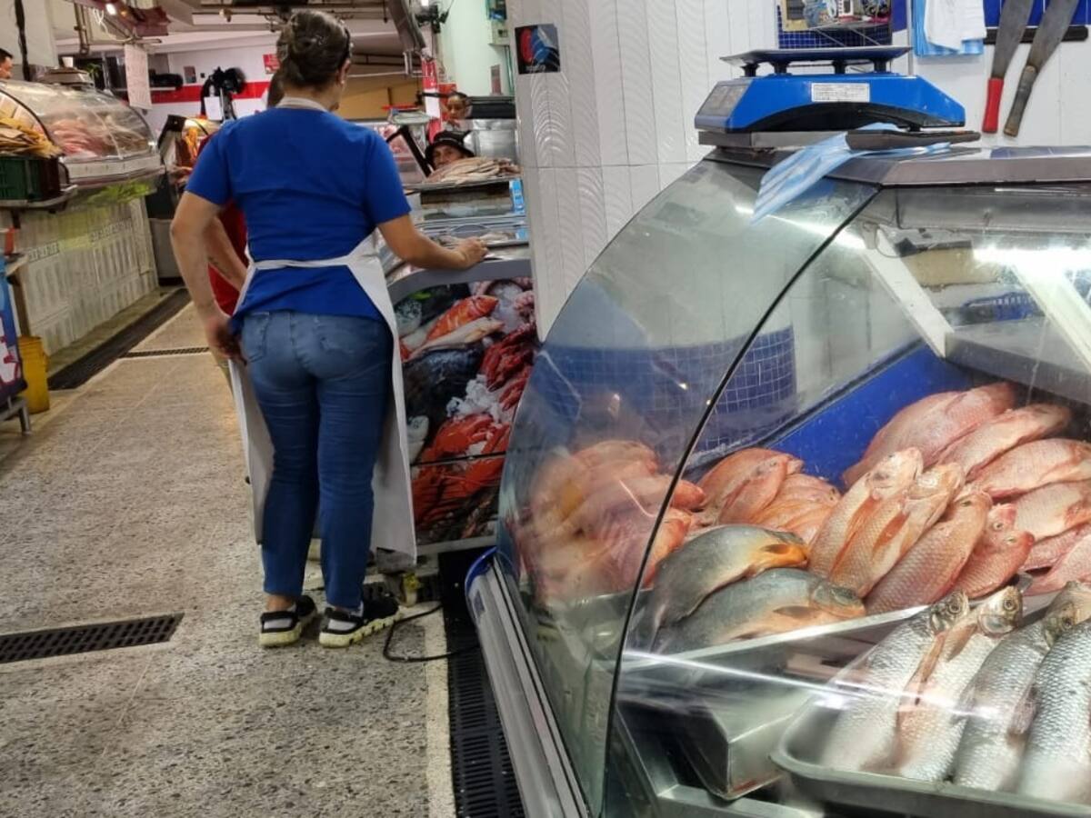Por su bajo precio la carne de pescado es la que más se consume en Bucaramanga