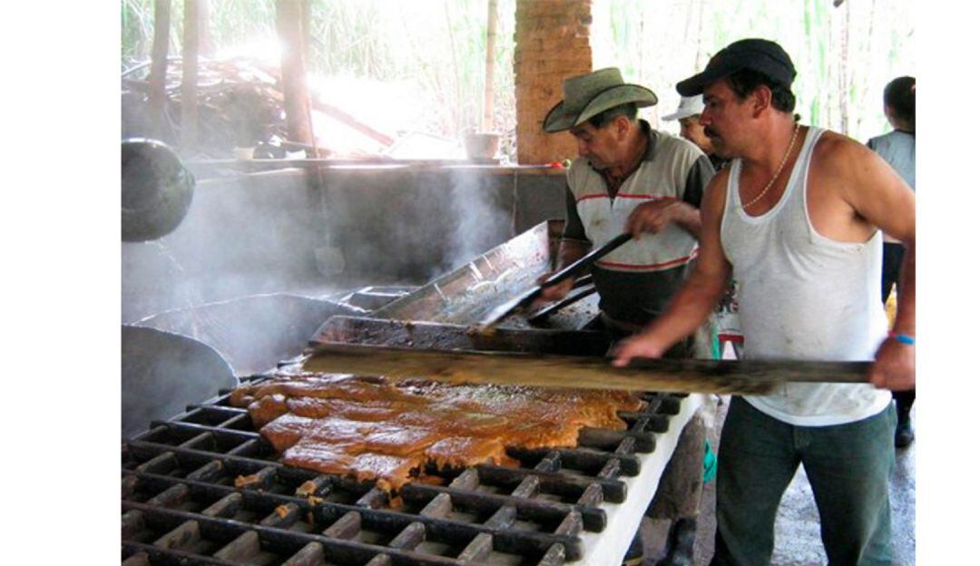 Países como México, España y Chile consumen panela producida en Isnos y San Agustín.