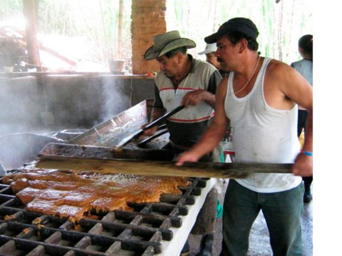 A buen ritmo va la exportación de panela huilense