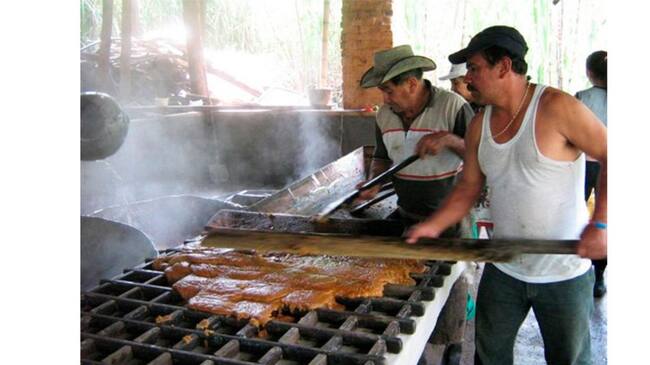 Países como México, España y Chile consumen panela producida en Isnos y San Agustín.