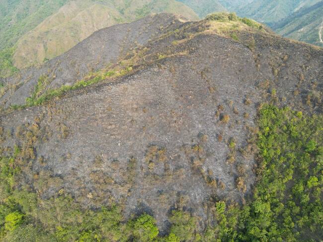Incendios forestales en Rivera