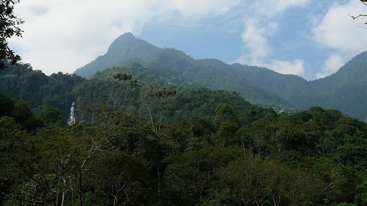 Farallones de Cali, en peligro: denuncian que minería ilegal amenaza suministro de agua
