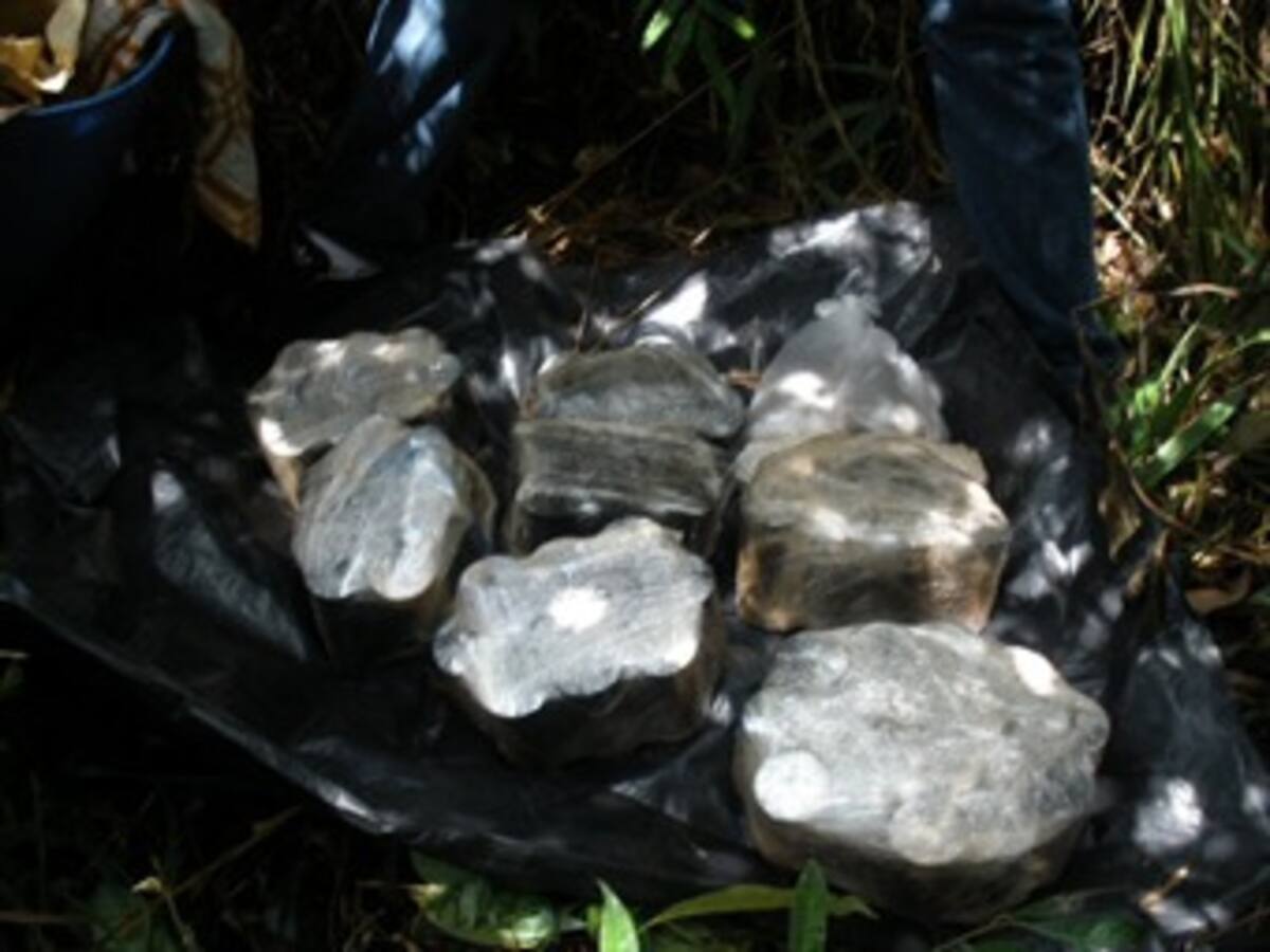 Ejército incauta explosivos en el Putumayo